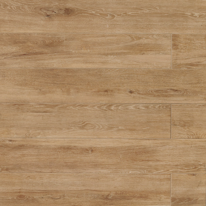 Othello Porcelain Cinnamon CI Tile Honed 1