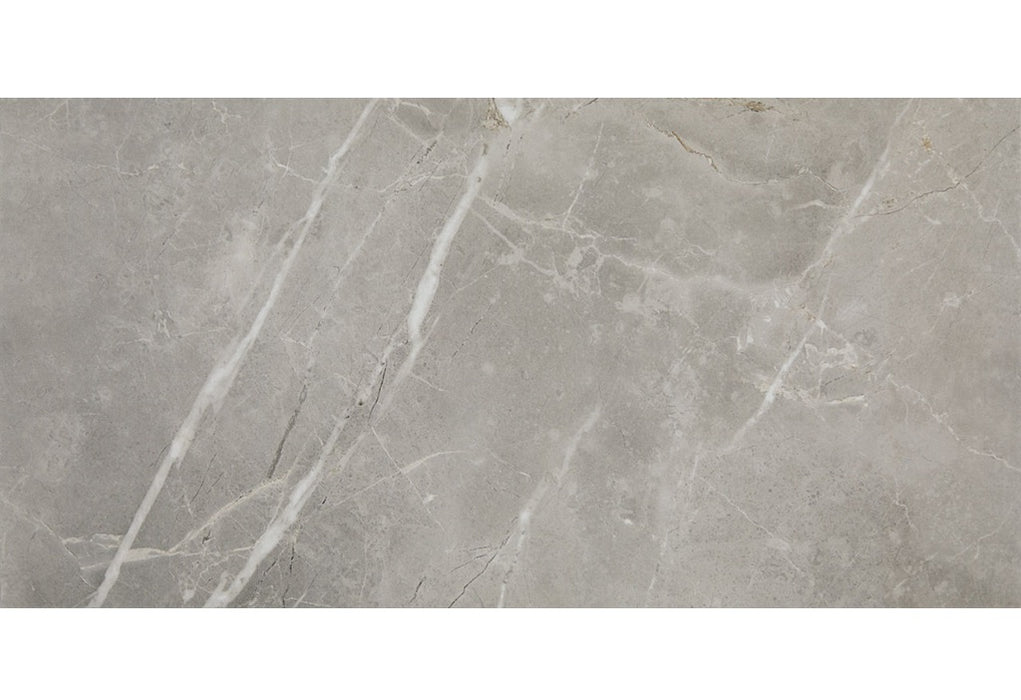 Core Fundamentals Platinum Porcelain Dove CT72 Tile Matte 1