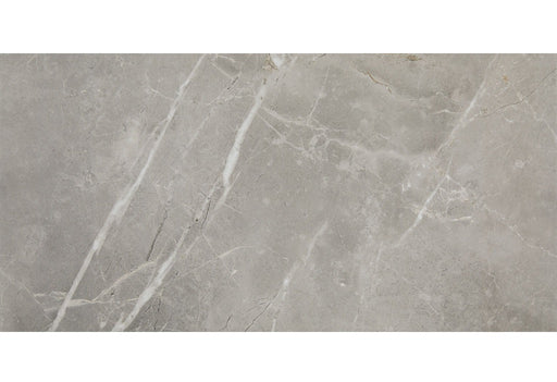 Core Fundamentals Platinum Porcelain Dove CT72 Tile Matte 1