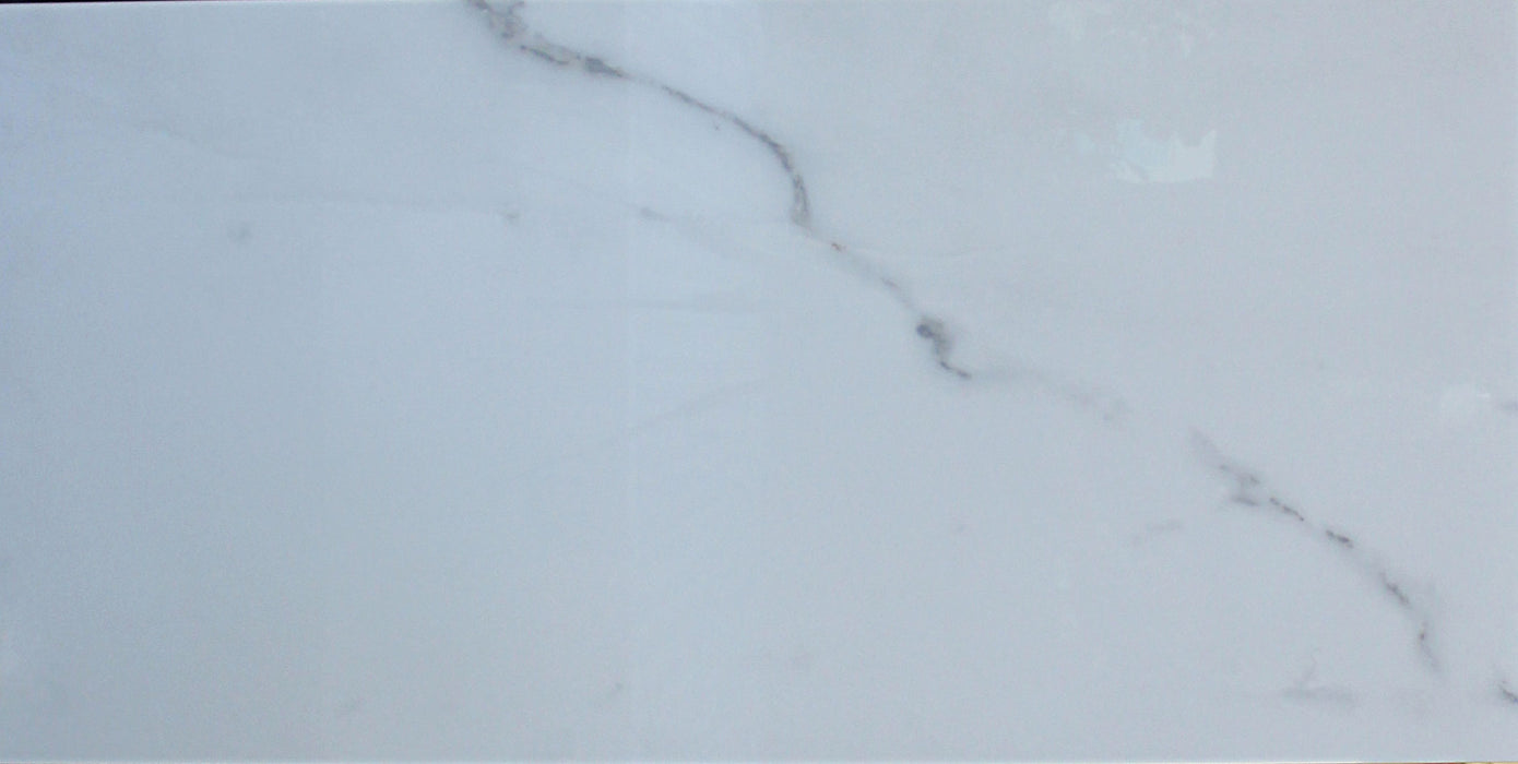 Full Tile Sample - Calacatta Silver Porcelain Tile - 24" x 48" x 3/8" Polished