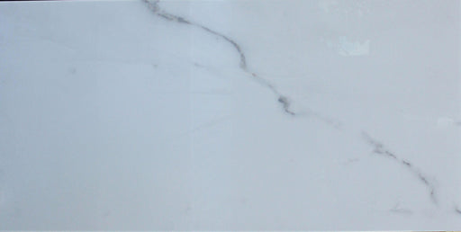 Calacatta Silver Polished Porcelain Tile - 24" x 48" x 3/8"