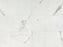 Full Tile Sample - Luxury Calacatta Porcelain Tile - 24" x 48" x 8 MM Matte