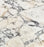 Calacatta Monet Limestone Tile - Honed