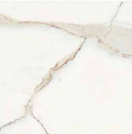 Antique Marble Calacatta Pure Honed Porcelain Tile - 12" x 24" x 3/8"