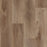 Captiva Vinyl Seashore Vinyl Plank Textured 1