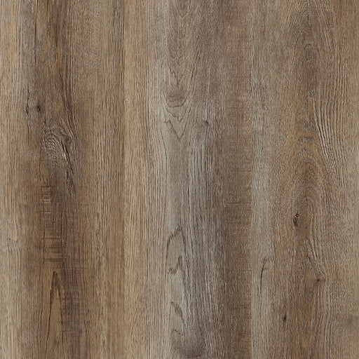 ProTek Plus Carlsbad PP3004V