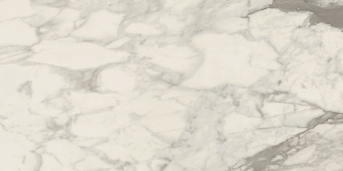 Full Tile Sample - Carrara Select 2.0 Calacatta Renoire Porcelain Tile - 24" x 48" Polished