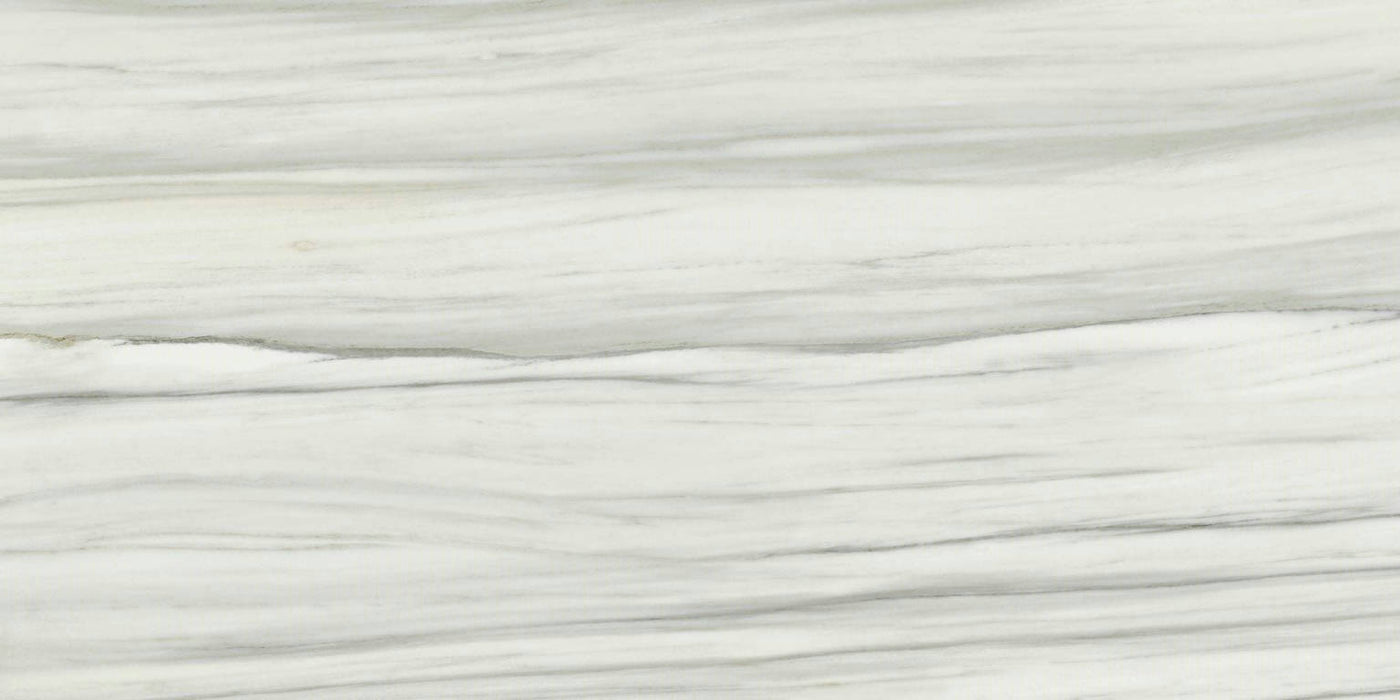 Full Tile Sample - Carrara Select 2.0 Carrara Zebrino Porcelain Tile - 24" x 48" Polished