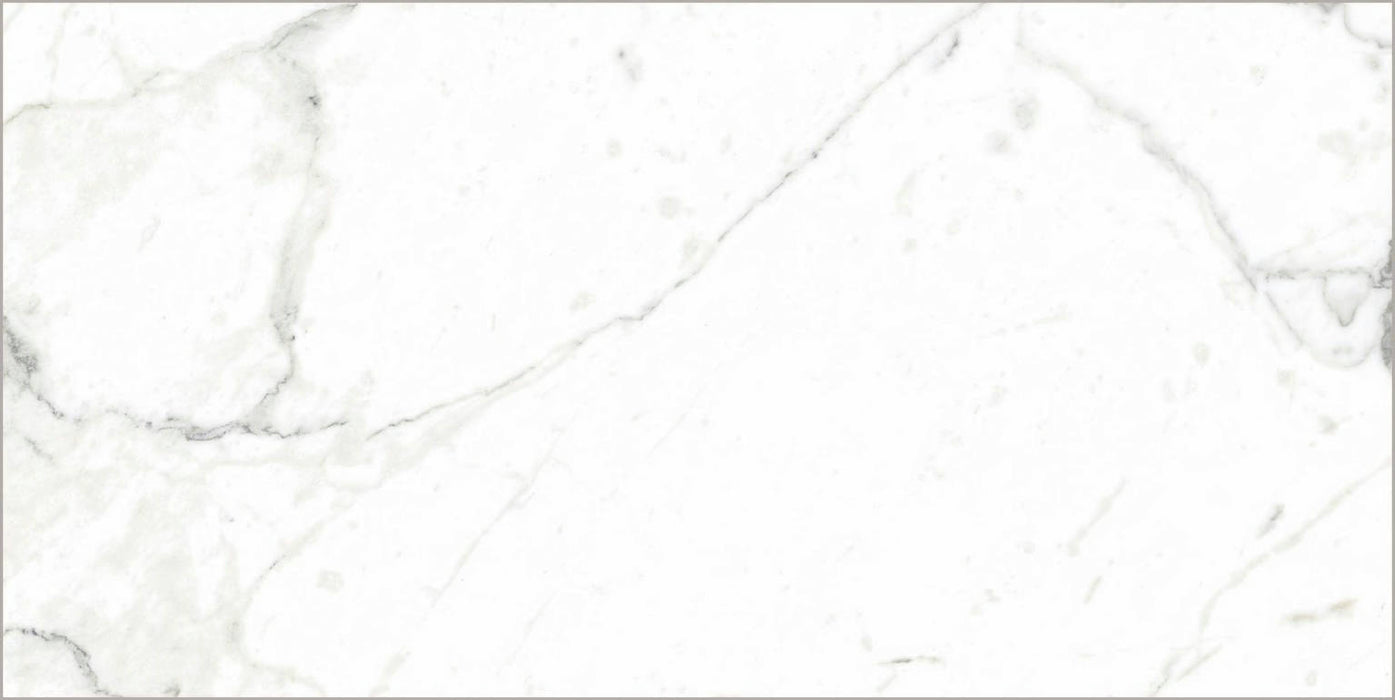 Full Tile Sample - Carrara Select Arabescato Porcelain Tile - 24" x 48" Matte