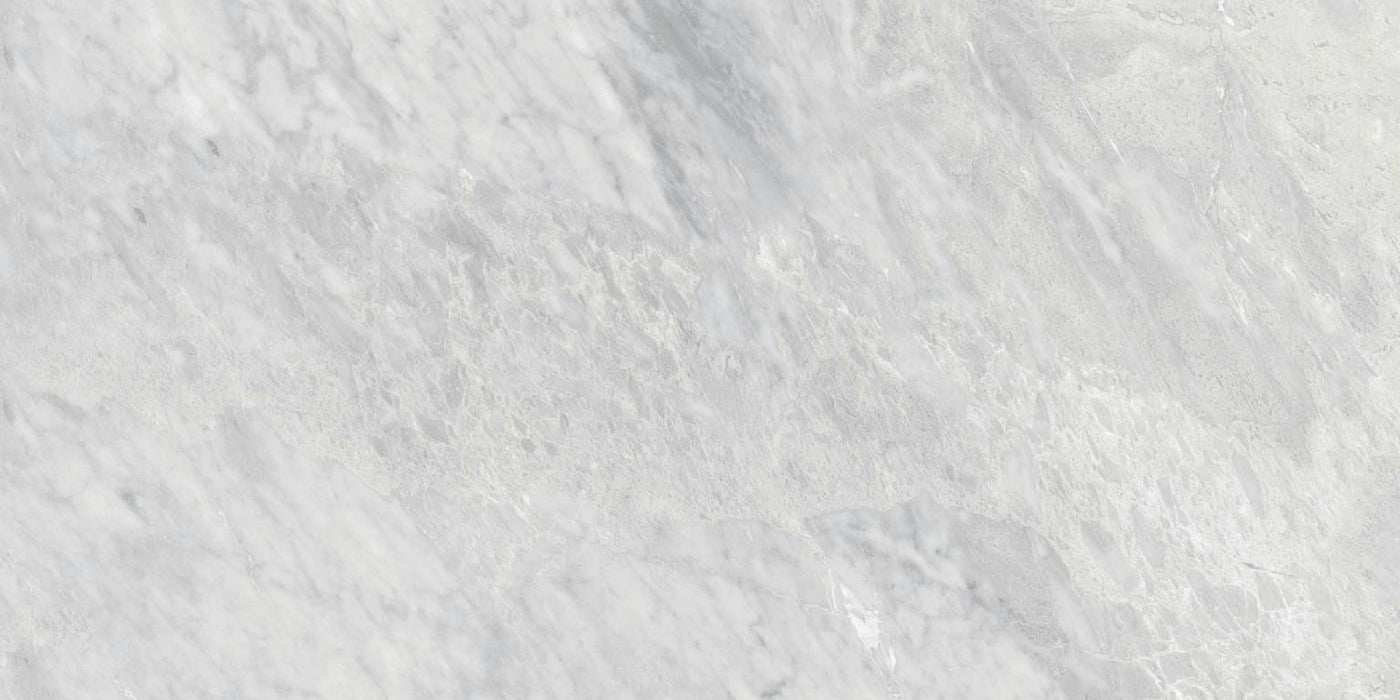 Full Tile Sample - Carrara Select Blu Porcelain Tile - 24" x 48" Matte
