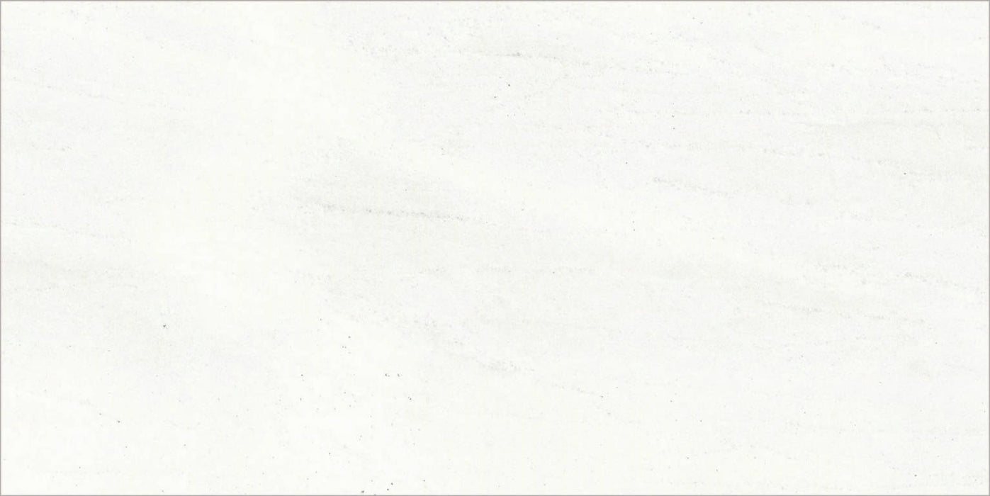 Full Tile Sample - Carrara Select Gioia Porcelain Tile - 24" x 48" Matte