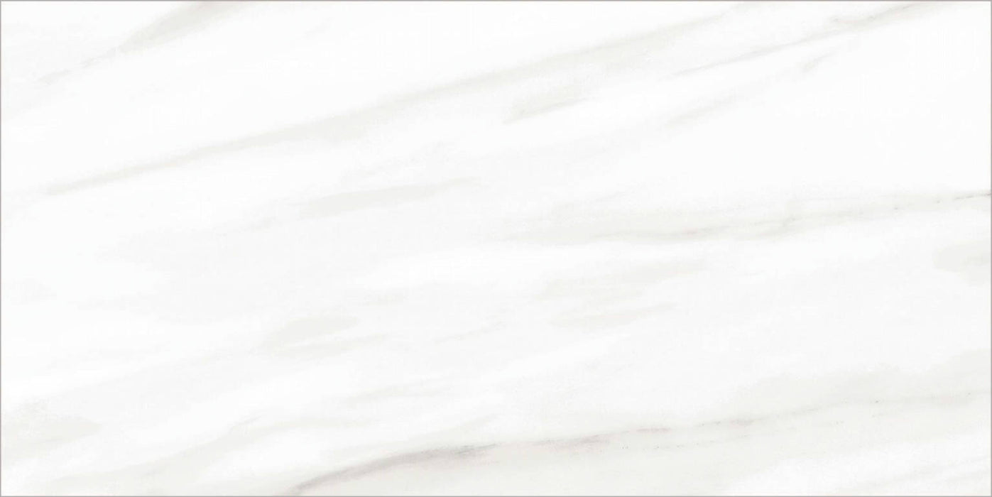 Full Tile Sample - Carrara Select Venato Porcelain Tile - 12" x 24" Polished