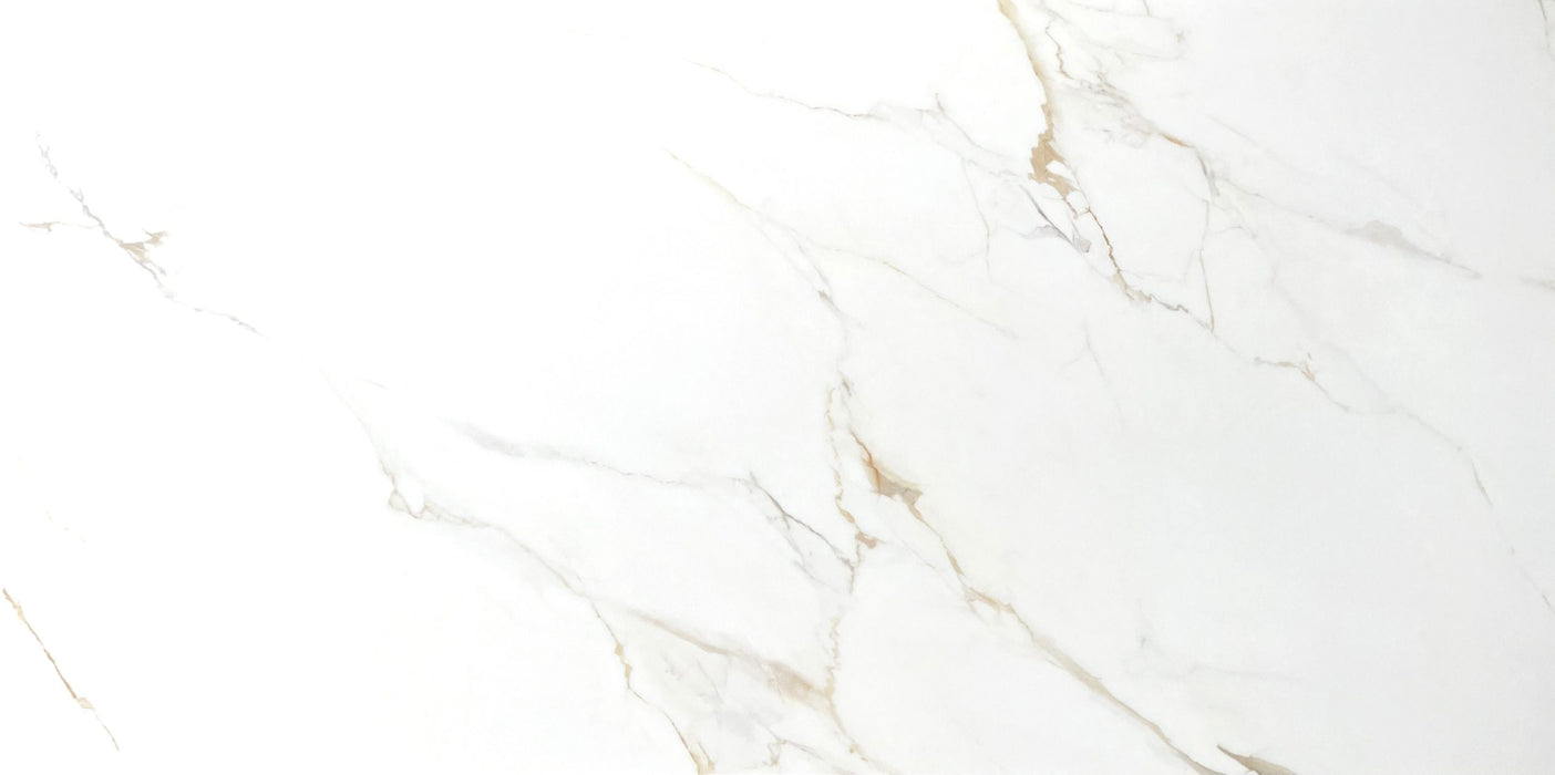 Carrara Porcelain Gold Tile Matte 2