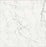 Full Tile Sample - Antique Marble Carrara Ghost Porcelain Tile - 12" x 24" x 3/8" Polished