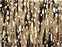 Cece Polypropylene & Polysilk Camel 35244 Carpet Textured 1