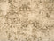 Celine Polyester Rosemary 51413 Carpet Textured 1