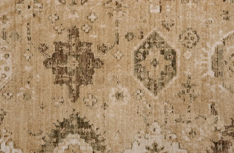 Chambord Polyester Earth 38104 Carpet CHAMD Textured 1
