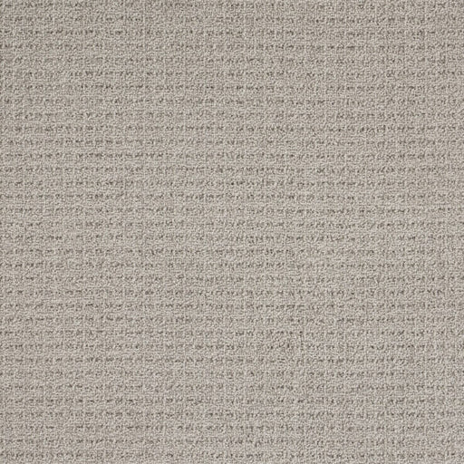 Coastal Image Polypropylene Drift Grey Carpet Loop 1