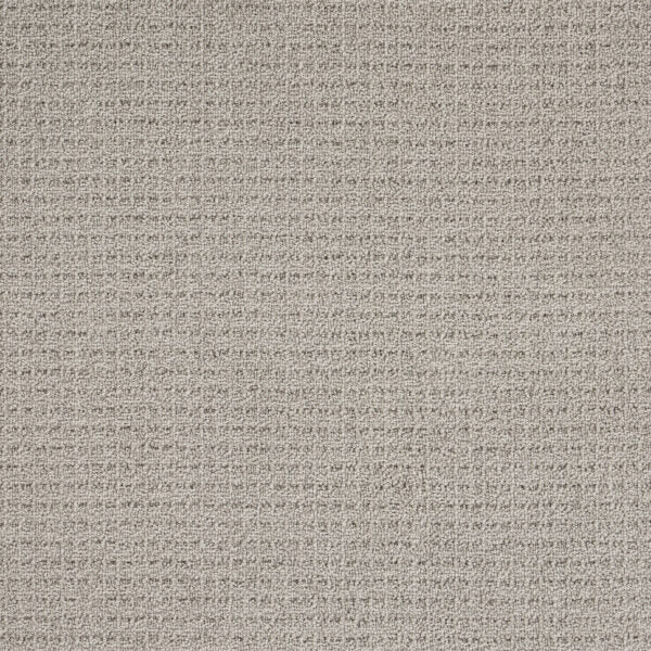 Coastal Image Polypropylene Drift Grey Carpet Loop 1