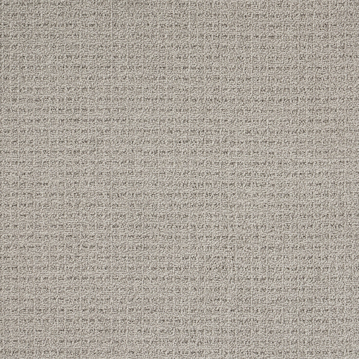 Coastal Image Polypropylene Drift Grey Carpet Loop 2
