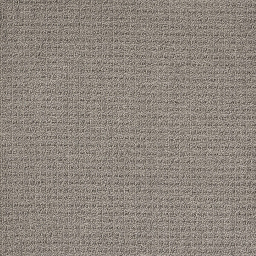 Coastal Image Polypropylene Oyster Shell Carpet Loop 1
