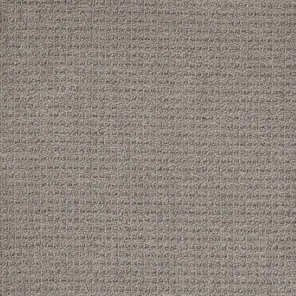Coastal Image Polypropylene Oyster Shell Carpet Loop 1