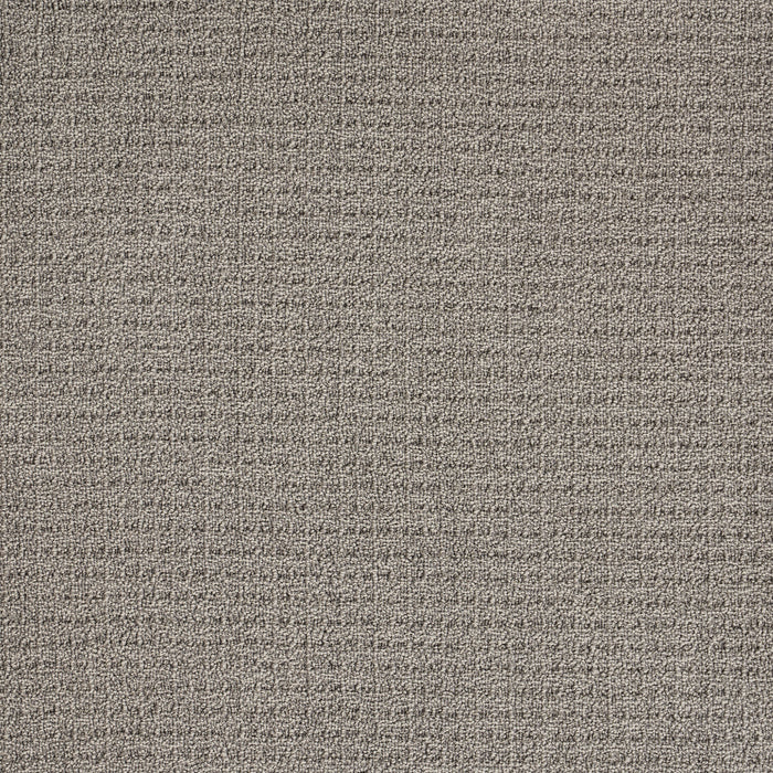 Coastal Image Polypropylene Oyster Shell Carpet Loop 2