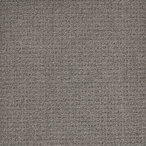 Coastal Image Polypropylene Storm Cloud Carpet Loop 1