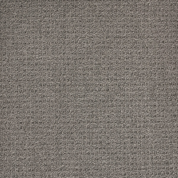 Coastal Image Polypropylene Storm Cloud Carpet Loop 1