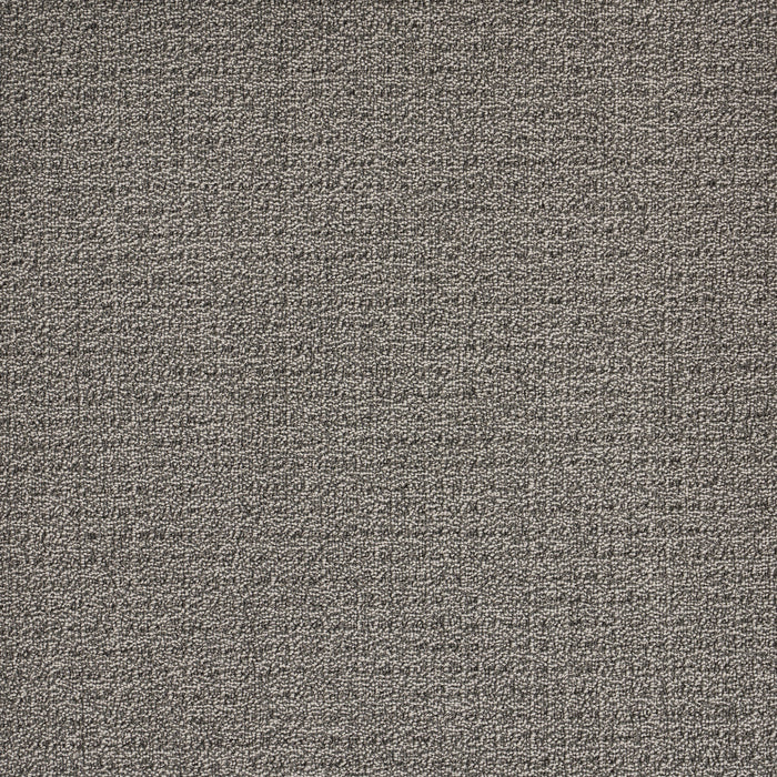 Coastal Image Polypropylene Storm Cloud Carpet Loop 2
