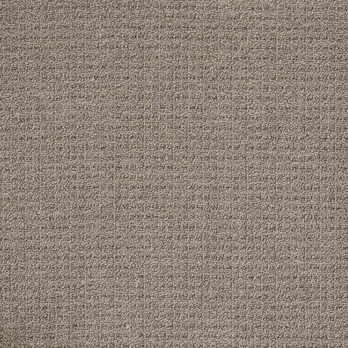 Coastal Image Polypropylene Coastline Carpet Loop 2