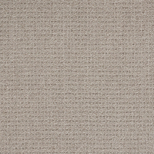 Coastal Image Polypropylene Sand Dune Carpet Loop 1