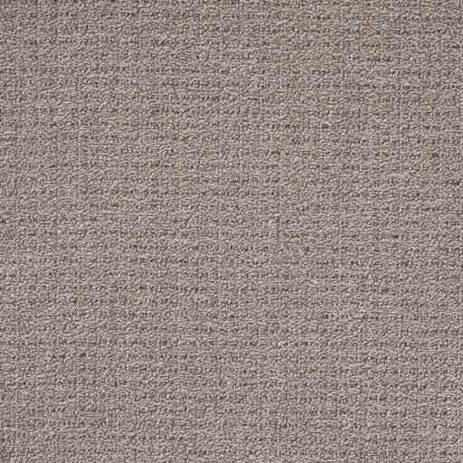 Coastal Image Polypropylene Cobblestone Carpet Loop 1