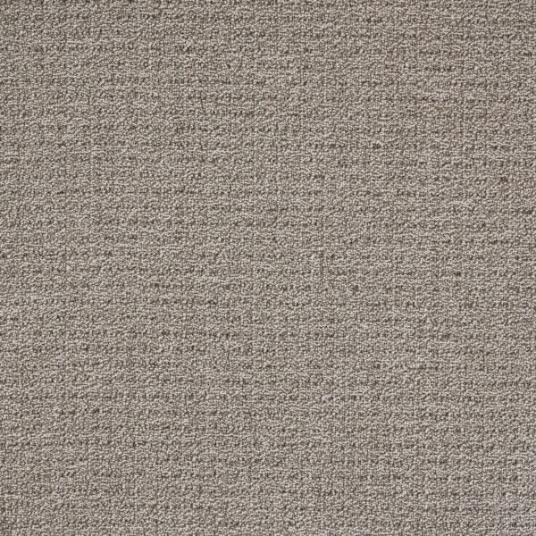 Coastal Image Polypropylene Cobblestone Carpet Loop 1