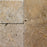 Coastal Travertine Walnut Bullnose Coping Tumbled 3