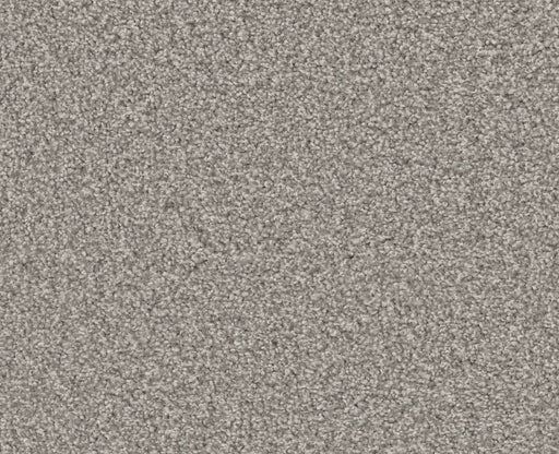 Trusolutions III Concrete Polyester Carpet - Textured