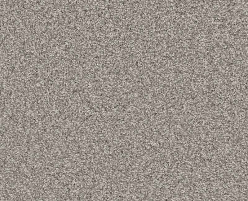 Trusolutions III Concrete Polyester Carpet - Textured