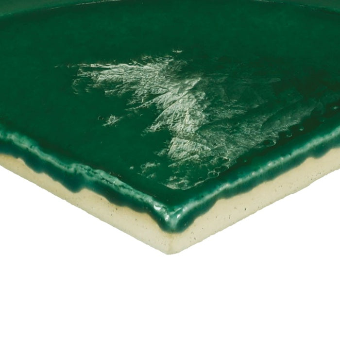 Contempee Ceramic Fern Handcrafted CE34 Tile Glossy 3