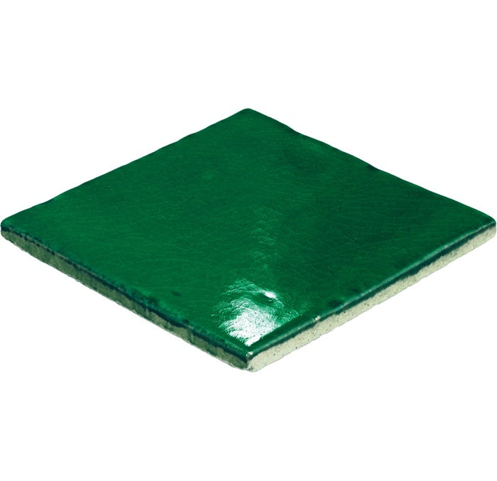 Contempee Ceramic Fern Handcrafted CE34 Tile Glossy 4