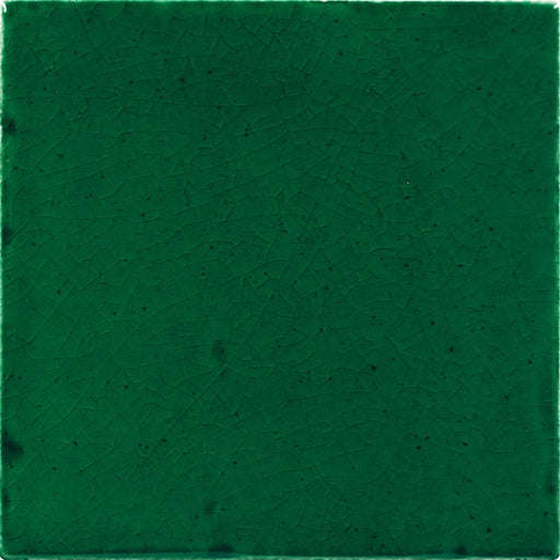 Contempee Ceramic Fern Handcrafted CE34 Tile Glossy 1