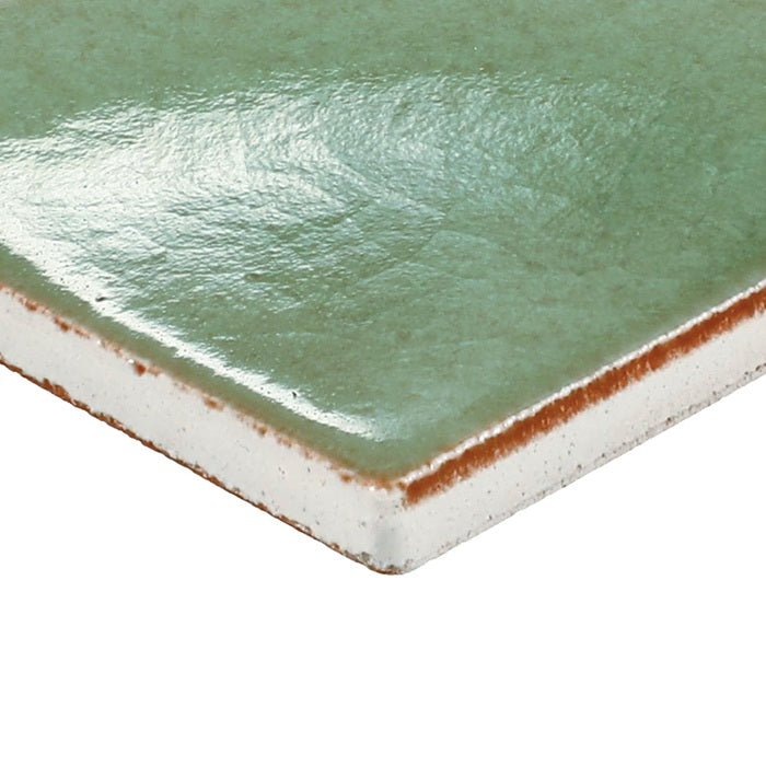 Contempee Ceramic Ivy Handcrafted CE33 Tile Glossy 3