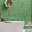 Contempee Ceramic Ivy Handcrafted CE33 Tile Glossy 9