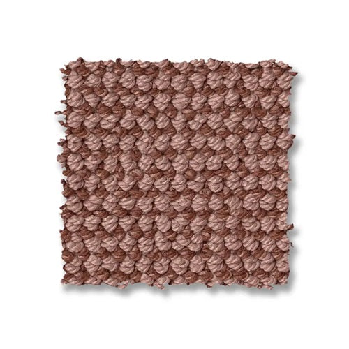 Alluring Copper Nylon Carpet - Loop