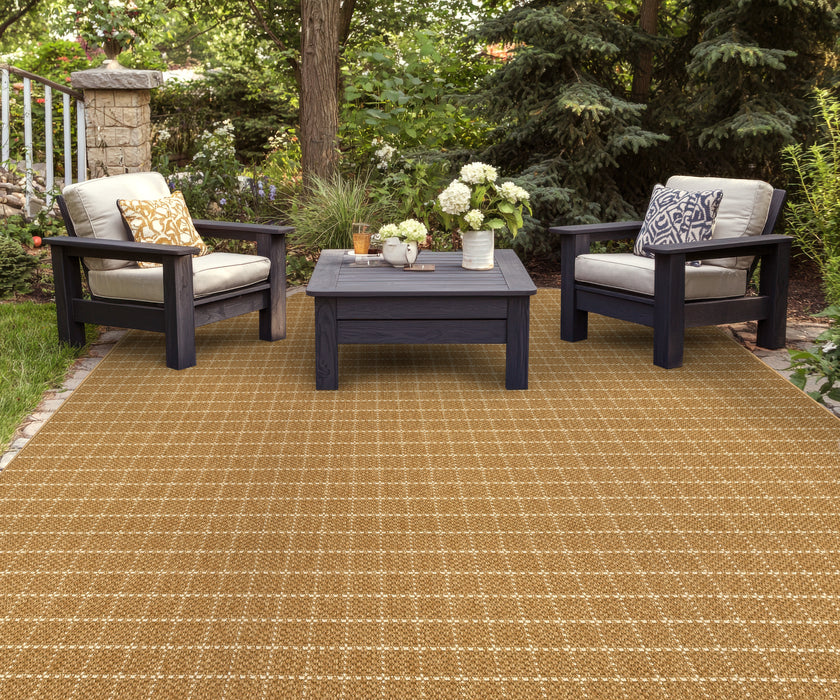 Coral Bay Polypropylene Golden Wheat 21151 Carpet Loop 2