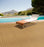 Coral Bay Polypropylene Golden Wheat 21151 Carpet Loop 3