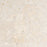 Coral Stone Shellstone Tile - Filled & Honed