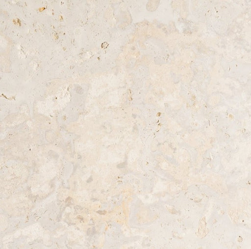 Coral Stone Shellstone Tile - Filled & Honed