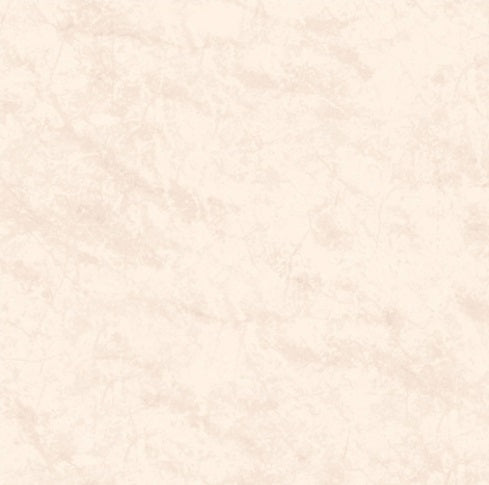 Spinetto Ceramic Crema RLTSPIN Tile Matte 1