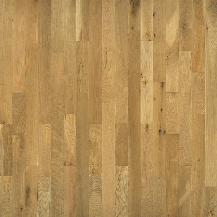 Oak Hardwood Augusta Engineered Hardwood Nu Oil 1