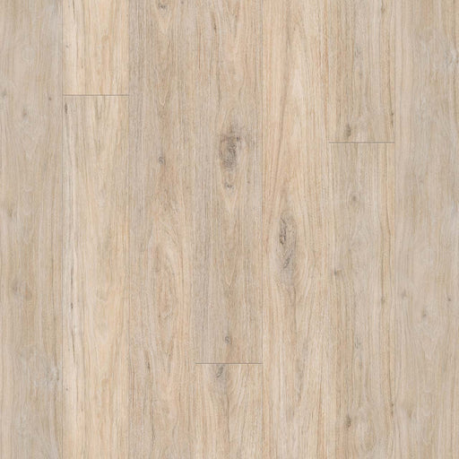 Wood Tech High Density Fiberboard Laminate Cathedral Grove 3010 Laminate Wood Plank Embossed 1